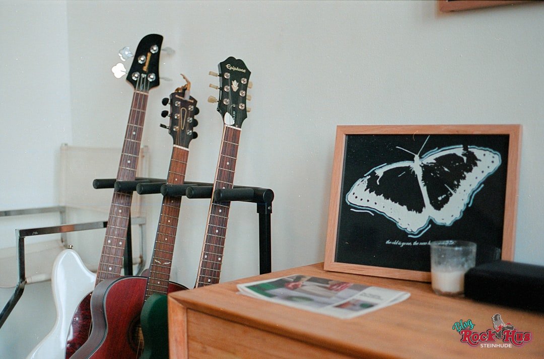 Moin Moin, liebe Musikfreunde und Rock-Enthusiasten vom Steinhuder Meer und darüber hinaus!